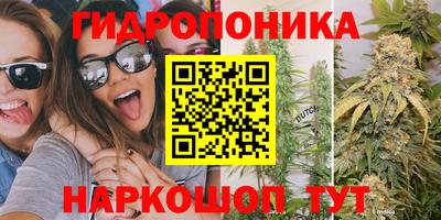 прущая мука Будённовск