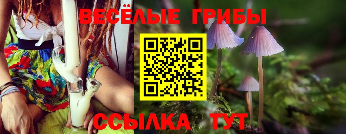 купить наркотики сайты  Галлюциногенные грибы ЛСД  Вход с VPN  Псилоцибиновые грибы прущие грибы  Екатеринбург 
